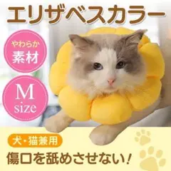 ☆hachi☆プロフ必読(´-∀-`)様 リクエスト 2点 まとめ商品