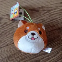 もちしば ぬいぐるみ マスコット