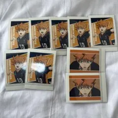 ハイキュー!! 日向翔陽 ぱしゃこれ ゴミ捨て場の決戦