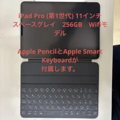 iPad Pro (第1世代) 11インチ　スペースグレイ　256GB　Wif…