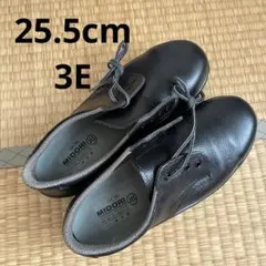 Item thumbnail for item 84c9bb28-e5bd-4f9d-bf25-bb1e890dcc14