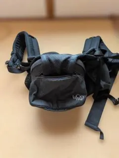 Item thumbnail for item 41dce50f-5cfd-462d-9baf-1a57e16cfdc3