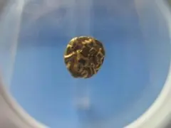 2025年最新】ファナム金貨の人気アイテム - メルカリ