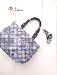 Item thumbnail for item 976e5c9b-1343-4ad9-bd6b-4206f6171df4