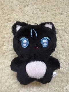 ATEEZ ウヨン 黒猫 ぬいぐるみ キーホルダー - メルカリ