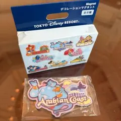 東京ディズニーリゾート デコレーションマグネット アラビアンコーストのサムネイル