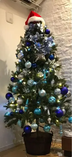 Item thumbnail for item 26e74524-110a-4577-9e5f-2e16722d3040