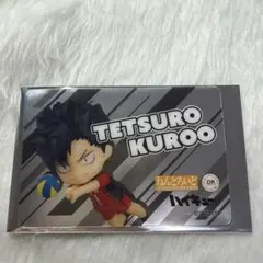 【非売品】ハイキュー ファンパーク 黒尾鉄朗 ねんどろいど クリアカード