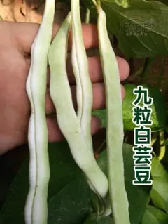 HM様 リクエスト 2点 まとめ商品