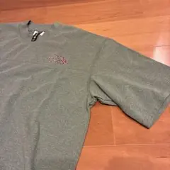 THE NORTH FACE REGRIND TEE 海外限定モデル