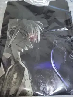 アカギVSボンドルド Tシャツ(XL)