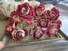 ななな様専用597 ミニバラ　ドライフラワー　ショートステム10輪