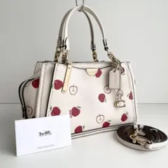 値下げ可】COACH ストロベリー ミニバケット ハンド＆ショルダーバッグ