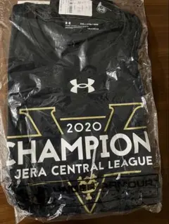 Item thumbnail for item 930406b5-8e43-4cf5-af14-c274cae028db