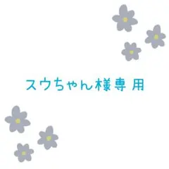 スウちゃん様専用