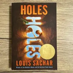 HOLES