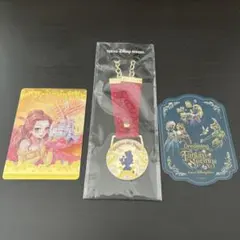 【非売品】 ディズニーランド　美女と野獣　キーホルダー　カードセット