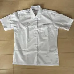 Item thumbnail for item 0daa6a09-bbce-4c35-8db6-9c6fbea2301b