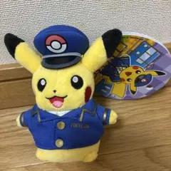 ポケットモンスター　ぬいぐるみ　まとめ売り　ポケモンセンター購入品 2025年最新】ポケモンセンター ぬいぐるみの人気アイテム - メルカリ