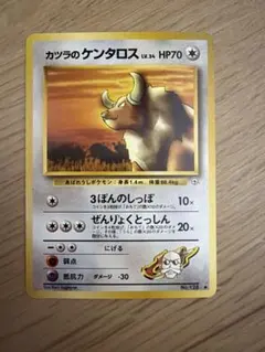 ポケモンカード カツラのケンタロス