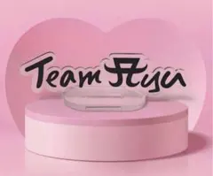 浜崎あゆみ　スクラッチ　『TeamAyu』ロゴアクリルスタンド　ブラックのサムネイル