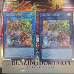 四花繚乱の霊使い 2枚セット　シク　レリーフ