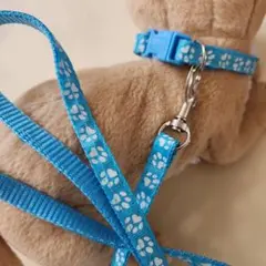 【新品】 首輪&リードセット 水色 肉球模様 調整可能 小型犬·ねこ