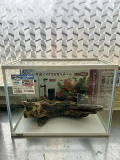 RainForest パルダリウムケージプロ 60×30×45cm 60cm水槽 - メルカリ