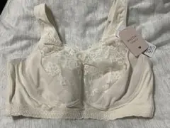 WACOAL ナイトアップブラ(レーシィ) 【タグ付き未使用品】　3Lサイズ