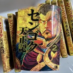 センゴク 天正記 全巻セット 1-15巻 センゴク権兵衛 全巻セット 1-27巻
