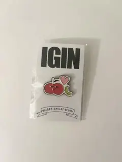 IGIN POPUP BTS JINピンバッジ