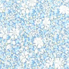 現品即発送☆リバティ C＆Sアデラジャカーキ×ブラウン×星ワッペン