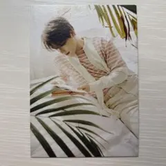 SEVENTEEN YourChoice ミニカード beside ディノ