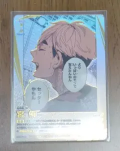 ハイキュー バボカ 宮侑 頂P