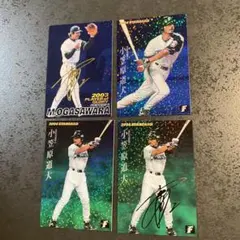 プロ野球チップスカード　小笠原道大選手  13枚セット