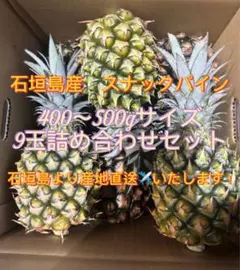【のの様専用】石垣島スナックパイン9玉セット