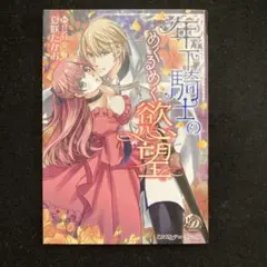 年下騎士のめくるめく慾望