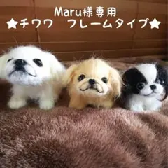 ★Maru様専用星羊毛フェルト【チワワ】フレームタイプ　犬　オーダーのサムネイル