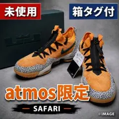 2026年最新】atmos lebron 16の人気アイテム - メルカリ