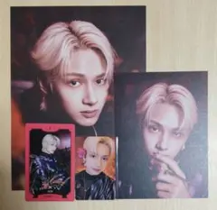 SEVENTEEN ジュン シーグリセット