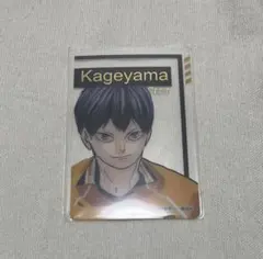 ハイキュー 箔押しクリアカード 影山飛雄