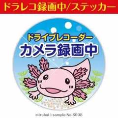 ドライブレコーダー ステッカー 録画中 ドラレコ ウーパールーパー 車用 シールのサムネイル