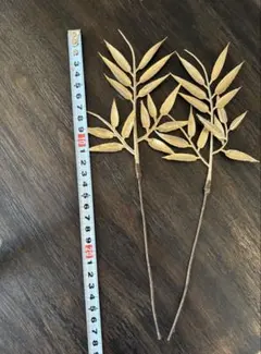 Item thumbnail for item fe9c8e6b-fed3-41c2-a988-2995fdb4e455