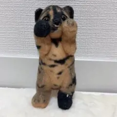 たっちぃZOO にゃんこmini3 サビ猫　ぬいぐるみ