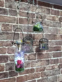 吊るし式フラワーライト＆ハーバリウム風フラワーボトル４点セット