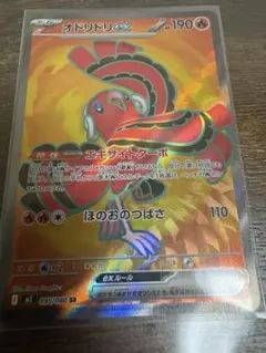 オドリドリsr インフェルノx