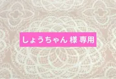 【専用】子供用ミニポケットティッシュケース キルトゲイト ２個セットハンドメイド