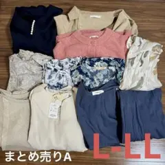 11/30まで値下げ！【L-LL】まとめ売り 大きいサイズレディース:A