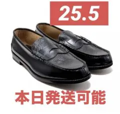 Item thumbnail for item 8525130d-c9b4-4169-9fd9-a6a8639fa6fc