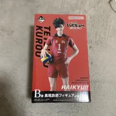 HAIKYUU!! 黒尾鉄朗フィギュア